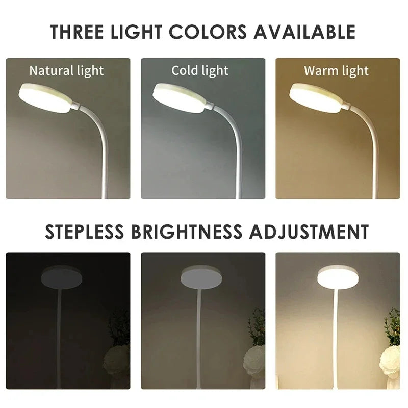 Portable LED Desk Lamp Eye Protection 3 Modes Dimming for Bedroom Bedside USB Touch Charge College Student Book Readin Lamp2024